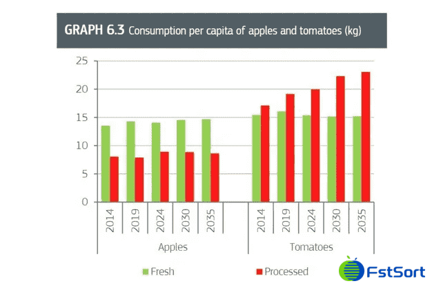 tomato processed.png tomato processed.png
